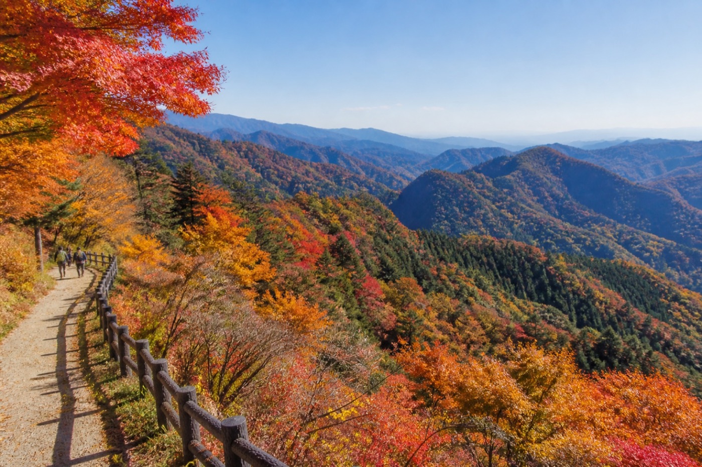 Camino seguro sobre un bosque otoñal cerca de Tokio